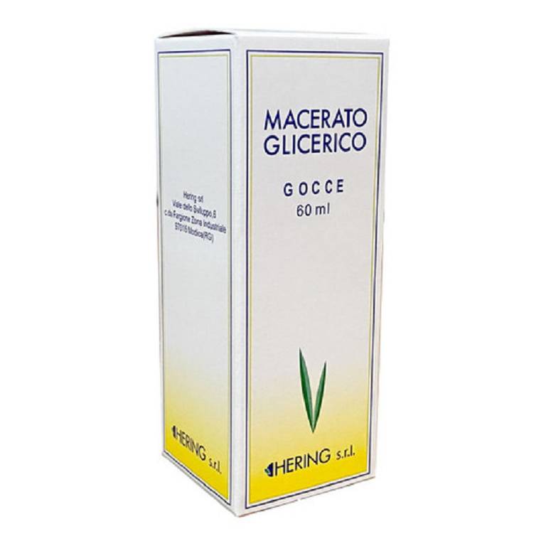 ALNUS GLUTINOSA 60ML MG