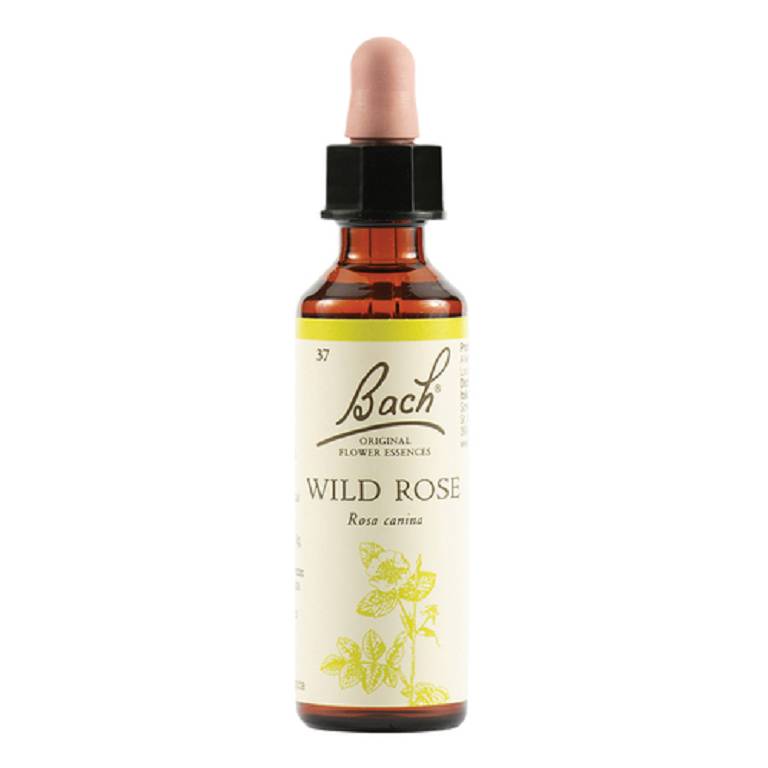 WILD ROSE BACH ORIG 20ML